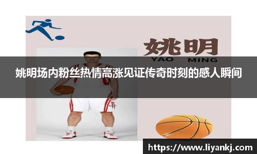 星空综合官方网站