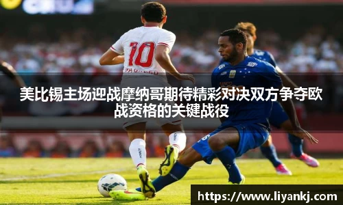 星空综合官方网站
